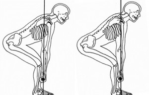 ProperDeadlifPositionAndTechnique