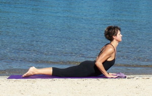Bujangasana