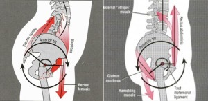 Pelvic-Tilt