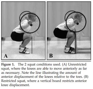 squat-restricted-unrestri