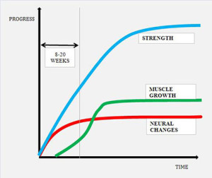 Neural_vs_muscle