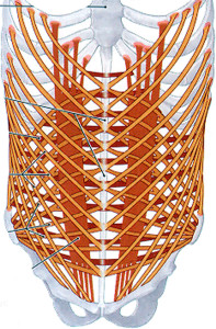 core-arrangement