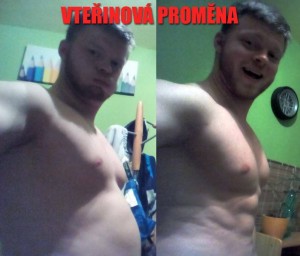 proměna