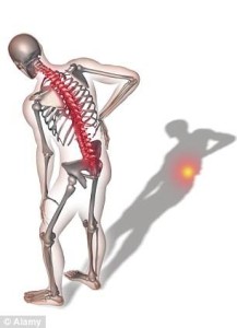 spinal