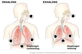 brániční-dýchání