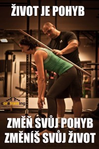 pohyb