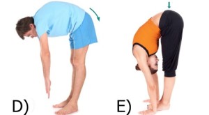 standing-forward-bend