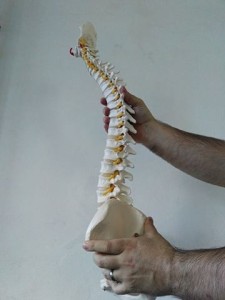 coretraining