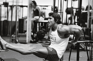 Arnold-Dips
