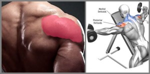 lying-rear-delt-lateral-raise
