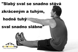 sit-reach