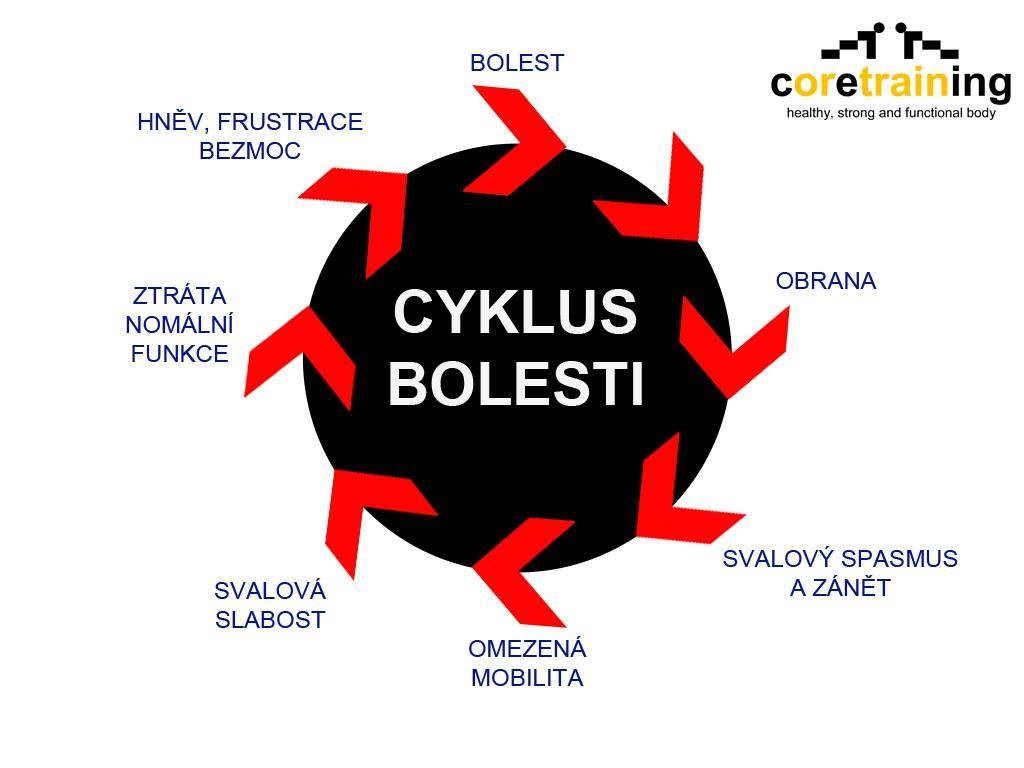 CYKLUS BOLESTI